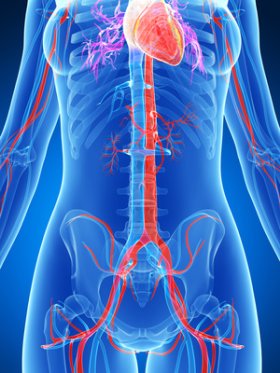 Aviso a todas as mulheres: Cuide a sua saúde cardiovascular para evitar a morte prematura