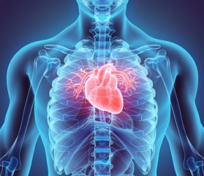 Q10 salva a vida de doentes com insuficiência cardíaca e melhora a qualidade de vida