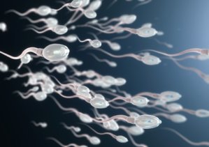 A fraca qualidade do esperma é causa frequente de infertilidade