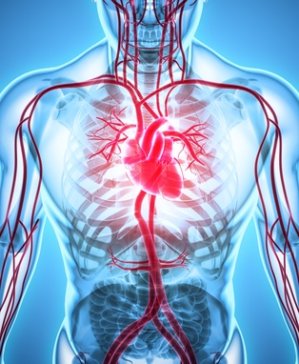 It is inflammation and not cholesterol that causes cardiovascular disease