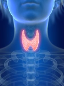 Thyroid disease requires the right balance between iodine and selenium