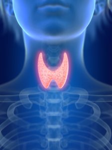 Na doença da tiróide, é necessário manter o iodo e o selénio em equilíbrio