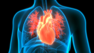 A evidência clínica mostra que a suplementação com Q10 ajuda os doentes com insuficiência cardíaca