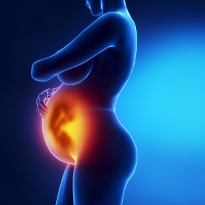 Relação entre aporte de selénio durante a gravidez, desenvolvimento fetal e peso à nascença