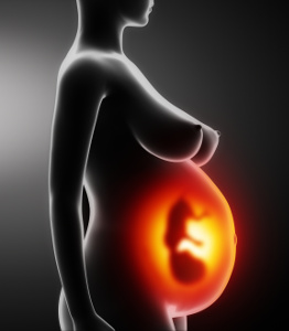 Durante a gravidez, o feto em desenvolvimento está completamente dependente dos níveis de selénio no sangue da mãe