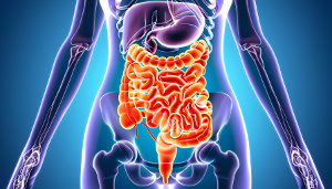  O selénio e o cálcio protegem contra o cancro colo-rectal 