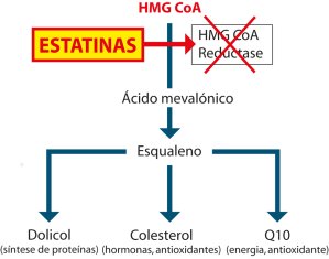 Curva que mostra como as estatinas bloqueiam o Q10