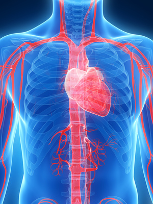 Energizing supplement fixes failing hearts